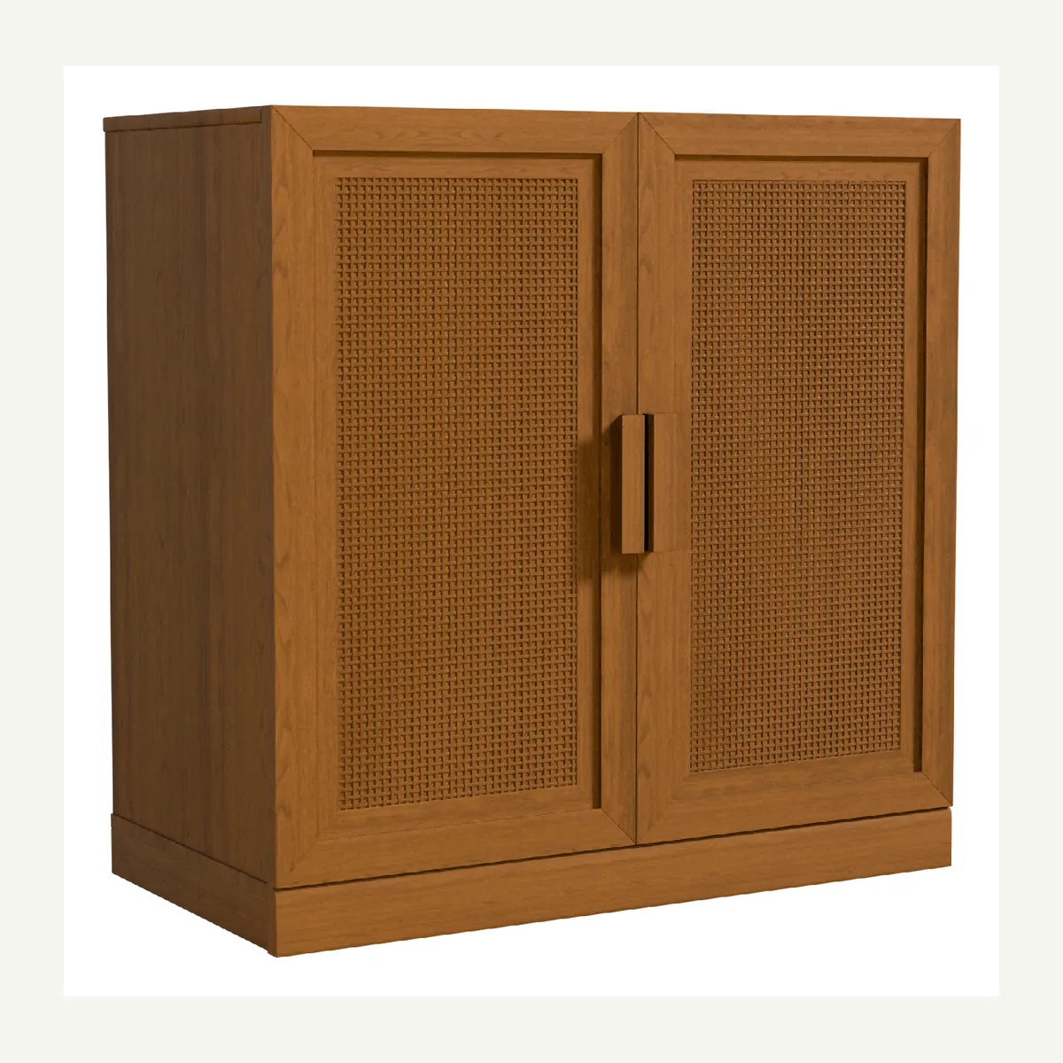Panel-Door Storage Cabinet — brown finish
