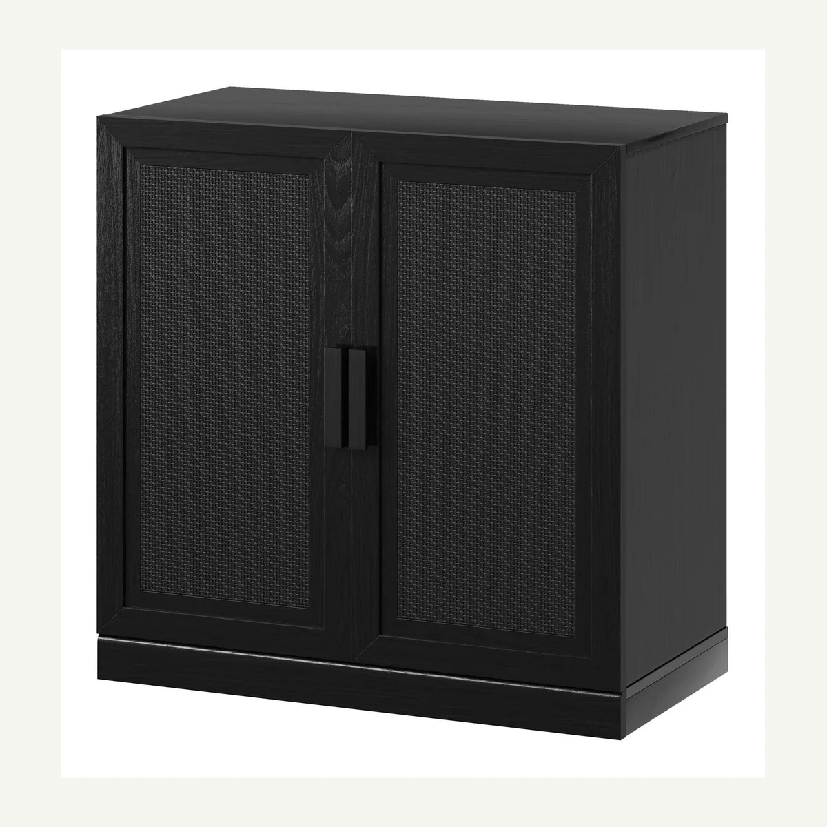 Panel-Door Storage Cabinet — dark finish